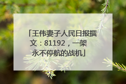 王伟妻子人民日报撰文：81192，一架永不停航的战机