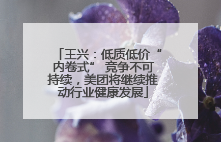 王兴：低质低价“内卷式” 竞争不可持续，美团将继续推动行业健康发展