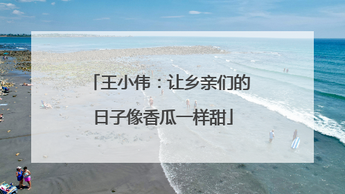 王小伟：让乡亲们的日子像香瓜一样甜