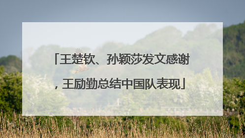 王楚钦、孙颖莎发文感谢，王励勤总结中国队表现