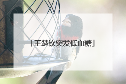 王楚钦突发低血糖