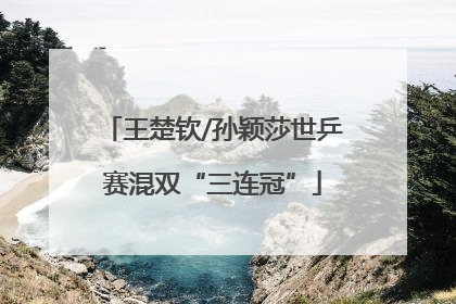 王楚钦/孙颖莎世乒赛混双“三连冠”