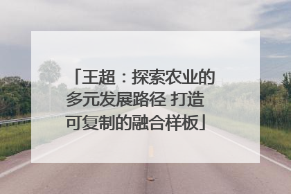 王超：探索农业的多元发展路径 打造可复制的融合样板