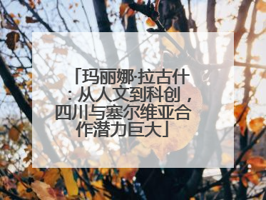 玛丽娜·拉古什：从人文到科创，四川与塞尔维亚合作潜力巨大