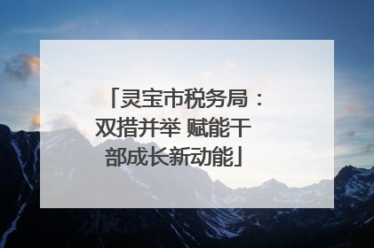 灵宝市税务局：双措并举 赋能干部成长新动能