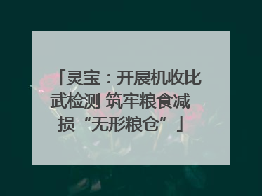 灵宝：开展机收比武检测 筑牢粮食减损“无形粮仓”