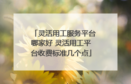 灵活用工服务平台哪家好 灵活用工平台收费标准几个点