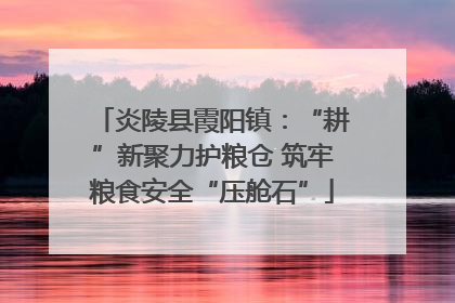 炎陵县霞阳镇：“耕”新聚力护粮仓 筑牢粮食安全“压舱石”