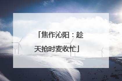焦作沁阳：趁天抢时麦收忙