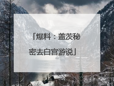 爆料：盖茨秘密去白宫游说