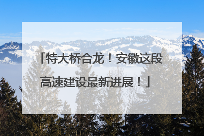 特大桥合龙！安徽这段高速建设最新进展！