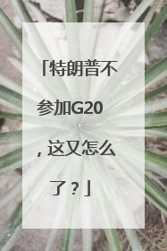 特朗普不参加G20，这又怎么了？