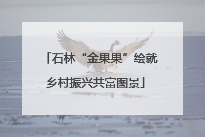 石林“金果果”绘就乡村振兴共富图景