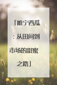 睢宁西瓜：从田间到市场的甜蜜之路