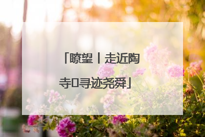 瞭望丨走近陶寺 寻迹尧舜