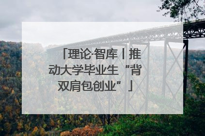 理论·智库丨推动大学毕业生“背双肩包创业”