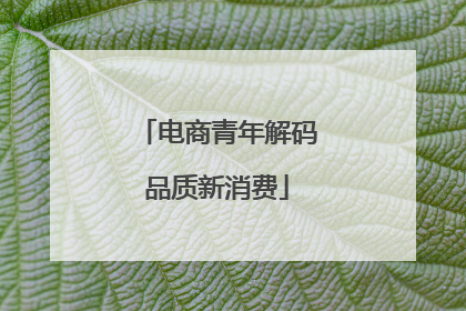 电商青年解码品质新消费
