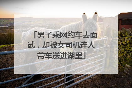 男子乘网约车去面试，却被女司机连人带车送进湖里