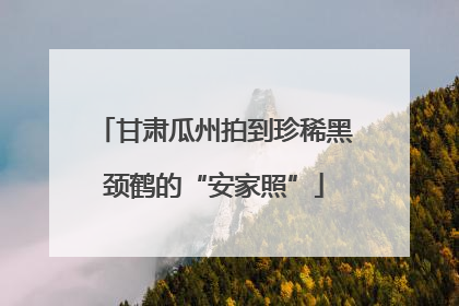 甘肃瓜州拍到珍稀黑颈鹤的“安家照”