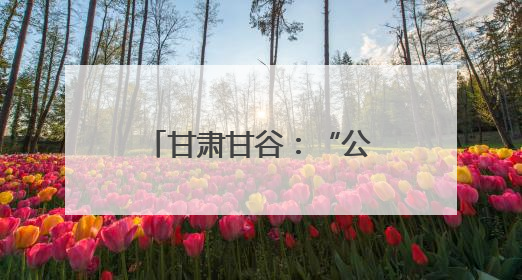甘肃甘谷：“公益红娘”巧破高额彩礼 破规立范推广文明婚俗