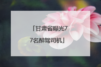 甘肃省曝光77名醉驾司机