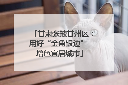 甘肃张掖甘州区：用好“金角银边” 增色宜居城市