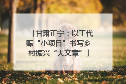 甘肃正宁：以工代赈“小项目”书写乡村振兴“大文章”