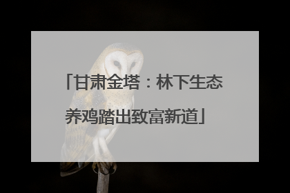 甘肃金塔：林下生态养鸡踏出致富新道