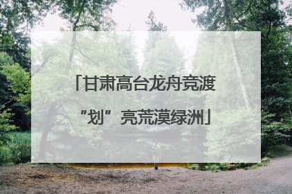 甘肃高台龙舟竞渡“划”亮荒漠绿洲