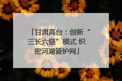 甘肃高台：创新“三长六链”模式 织密河湖管护网