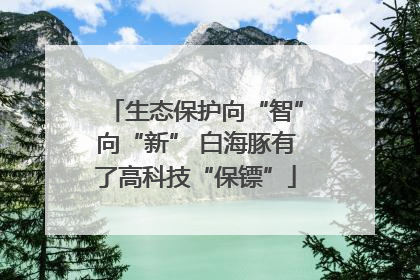 生态保护向“智”向“新” 白海豚有了高科技“保镖”