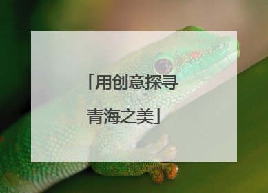 用创意探寻青海之美