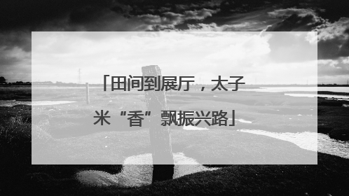 田间到展厅，太子米“香”飘振兴路