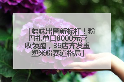 疆味出圈新标杆！粉巴扎单日8000元营收领跑，36店齐发重塑米粉赛道格局