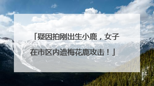 疑因拍刚出生小鹿，女子在市区内遭梅花鹿攻击！