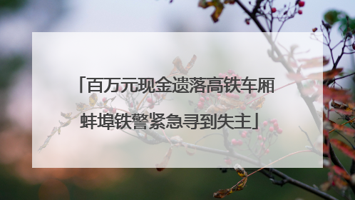 百万元现金遗落高铁车厢 蚌埠铁警紧急寻到失主