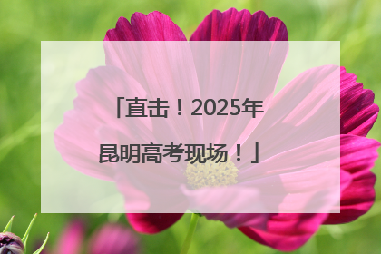 直击！2025年昆明高考现场！