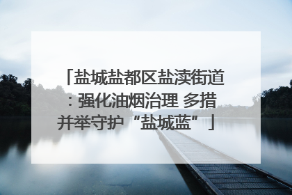 盐城盐都区盐渎街道：强化油烟治理 多措并举守护“盐城蓝”