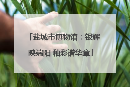 盐城市博物馆：银辉映端阳 釉彩谱华章