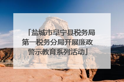 盐城市阜宁县税务局第一税务分局开展廉政警示教育系列活动