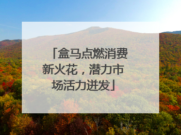 盒马点燃消费新火花，潜力市场活力迸发