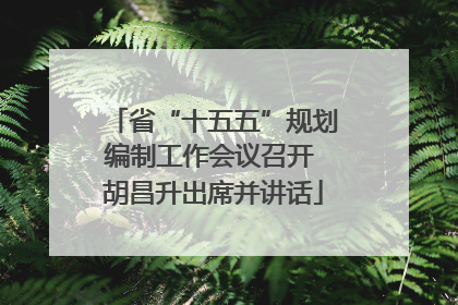 省“十五五”规划编制工作会议召开 胡昌升出席并讲话
