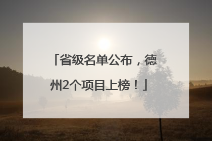 省级名单公布，德州2个项目上榜！