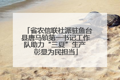 省农信联社派驻鱼台县唐马镇第一书记工作队助力“三夏”生产 彰显为民担当