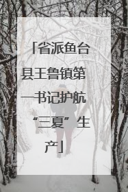 省派鱼台县王鲁镇第一书记护航“三夏”生产