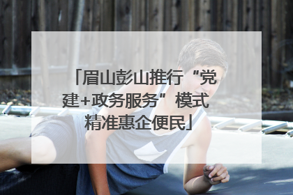 眉山彭山推行“党建+政务服务”模式 精准惠企便民