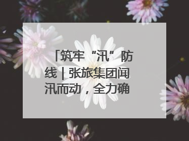 筑牢“汛”防线｜张旅集团闻汛而动，全力确保安全度汛