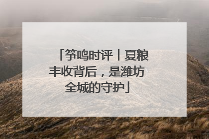 筝鸣时评丨夏粮丰收背后，是潍坊全城的守护