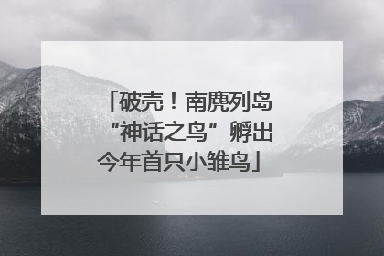 破壳！南麂列岛“神话之鸟”孵出今年首只小雏鸟