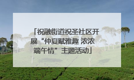 祝融街道祝圣社区开展“仲夏赋雅趣 浓浓端午情”主题活动